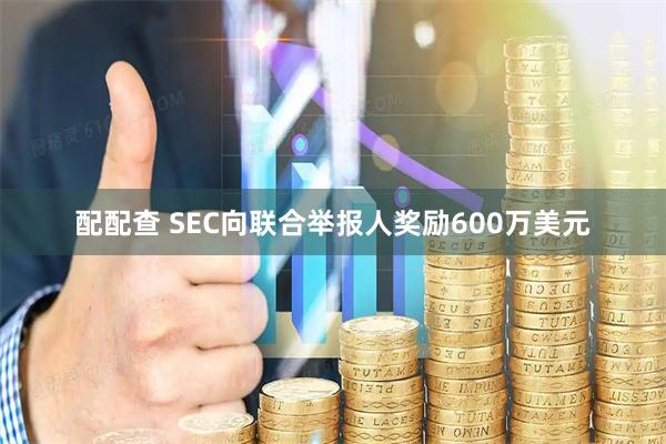 配配查 SEC向联合举报人奖励600万美元