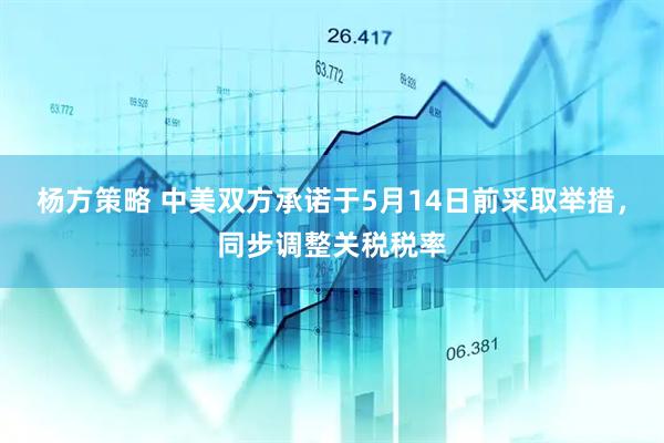 杨方策略 中美双方承诺于5月14日前采取举措，同步调整关税税率