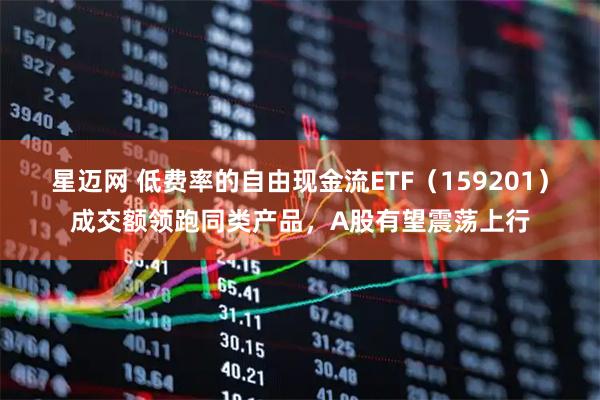 星迈网 低费率的自由现金流ETF（159201）成交额领跑同类产品，A股有望震荡上行