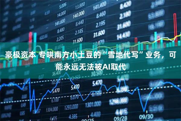 豪极资本 专哄南方小土豆的“雪地代写”业务，可能永远无法被AI取代