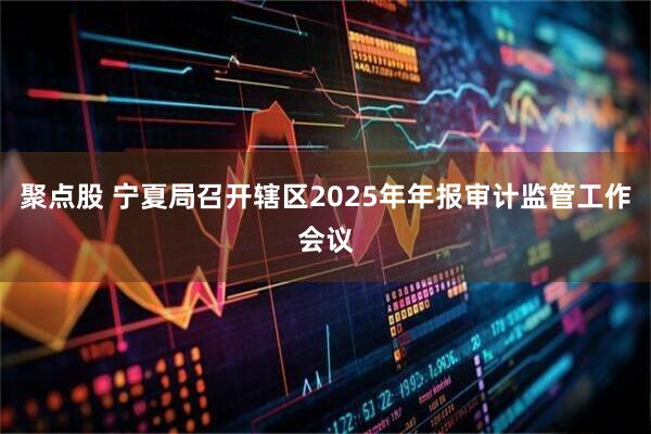 聚点股 宁夏局召开辖区2025年年报审计监管工作会议